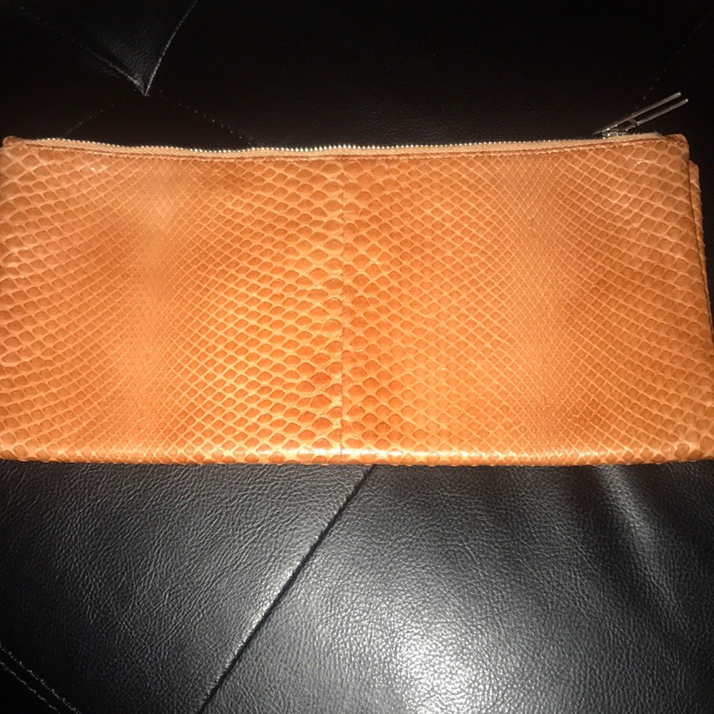 HAYWARD envelope clutch